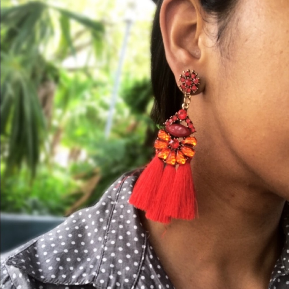 Fluffly Tassle Earrings